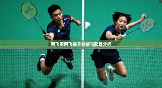 网飞看网飞梯子价格与配置分析