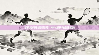 手机如何连接到外网？NPV解析与最佳实践
