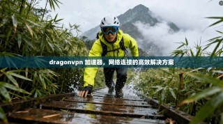 dragonvpn 加速器，网络连接的高效解决方案