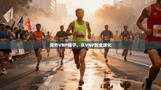 海外VNP梯子，从VNP到全球化