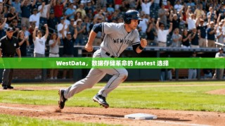 WestData，数据存储革命的 fastest 选择
