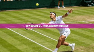 海外网站梯子，技术与策略的双轮驱动