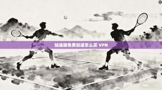 加速器免费加速怎么买 VPN