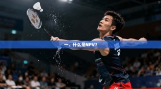 一、什么是NPV？