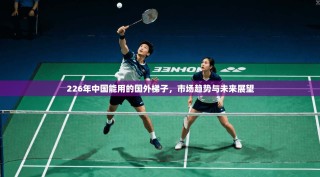 226年中国能用的国外梯子，市场趋势与未来展望