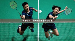 梯子软件，提升工作效率的新标准