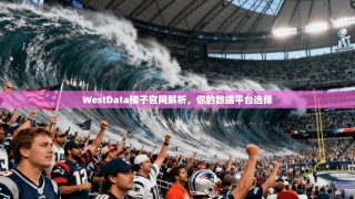 WestData梯子官网解析，你的数据平台选择