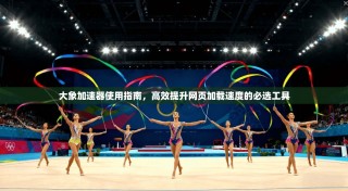 大象加速器使用指南，高效提升网页加载速度的必选工具