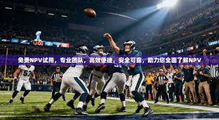 免费NPV试用，专业团队，高效便捷，安全可靠，助力您全面了解NPV