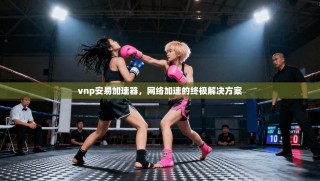 vnp安易加速器，网络加速的终极解决方案