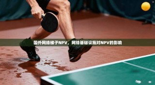 国外网络梯子NPV，网络基础设施对NPV的影响