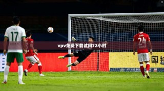 vpv免费下载试用72小时