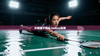 外网梯子网址 lookup指南