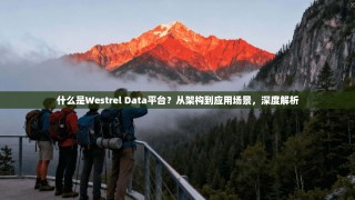 什么是Westrel Data平台？从架构到应用场景，深度解析