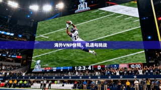 海外VNP快鸭，机遇与挑战