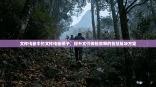文件传输中的文件传输梯子，提升文件传输效率的智慧解决方案