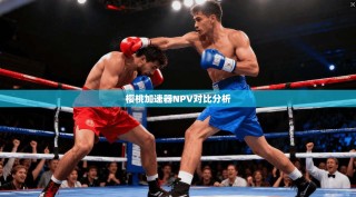 樱桃加速器NPV对比分析