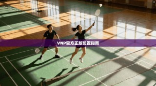 VNP官方正版配置指南