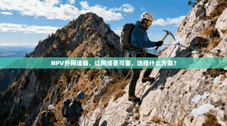 NPV外网速器，让网络更可靠，选择什么方案？