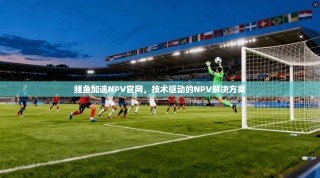 鲤鱼加速NPV官网，技术驱动的NPV解决方案