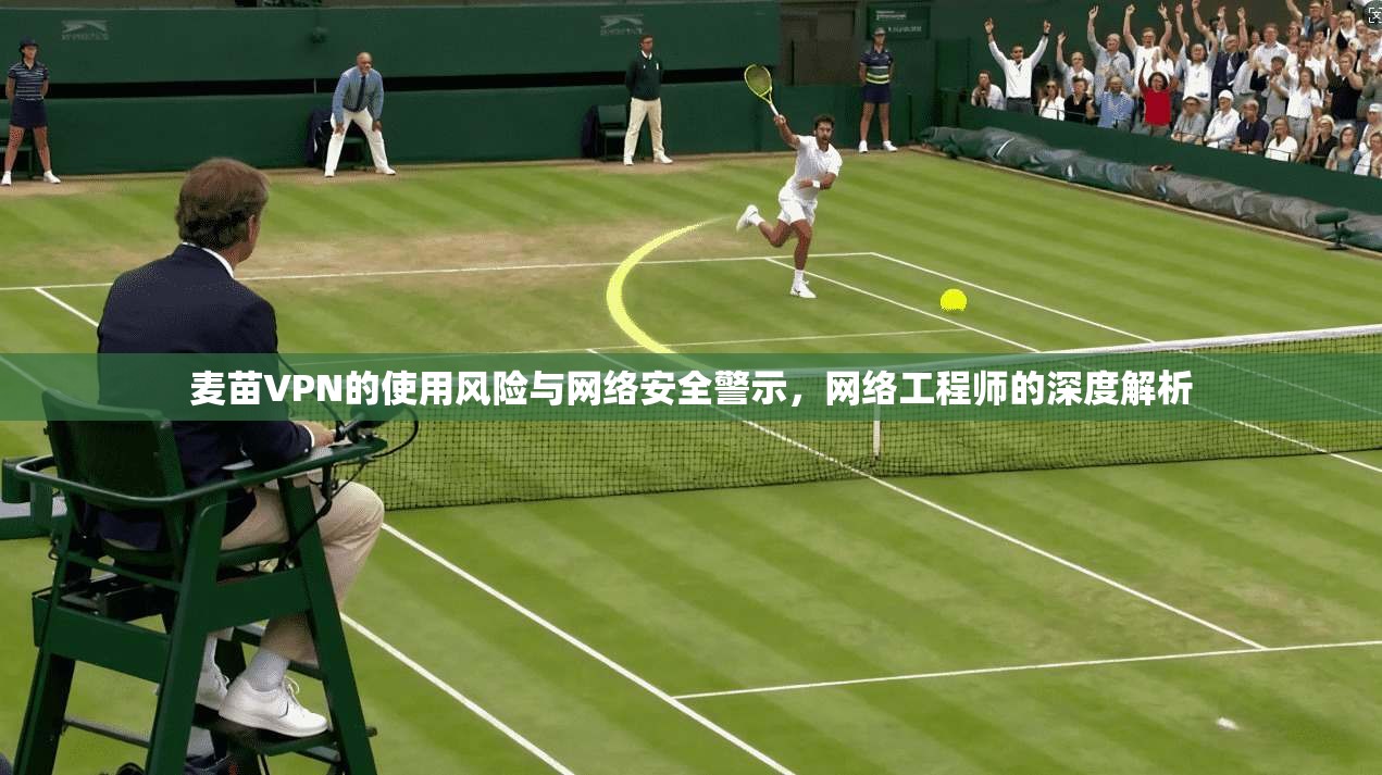 麦苗VPN的使用风险与网络安全警示，网络工程师的深度解析