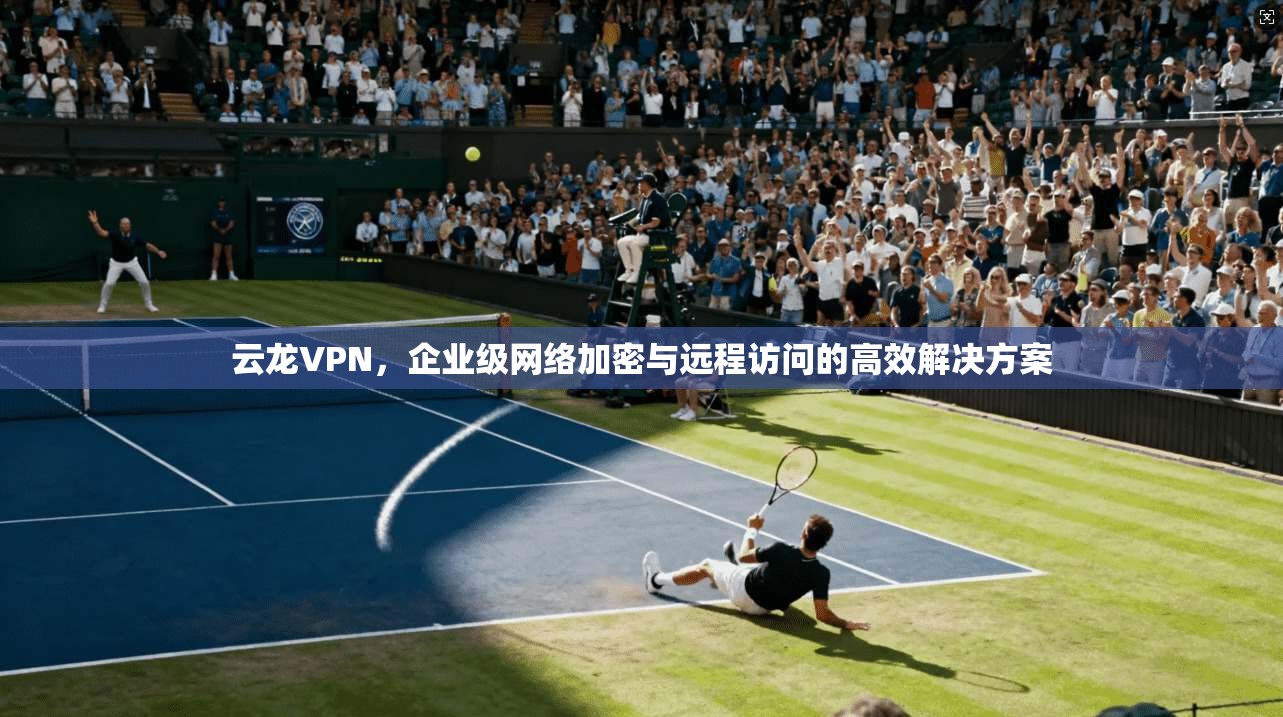 云龙VPN，企业级网络加密与远程访问的高效解决方案