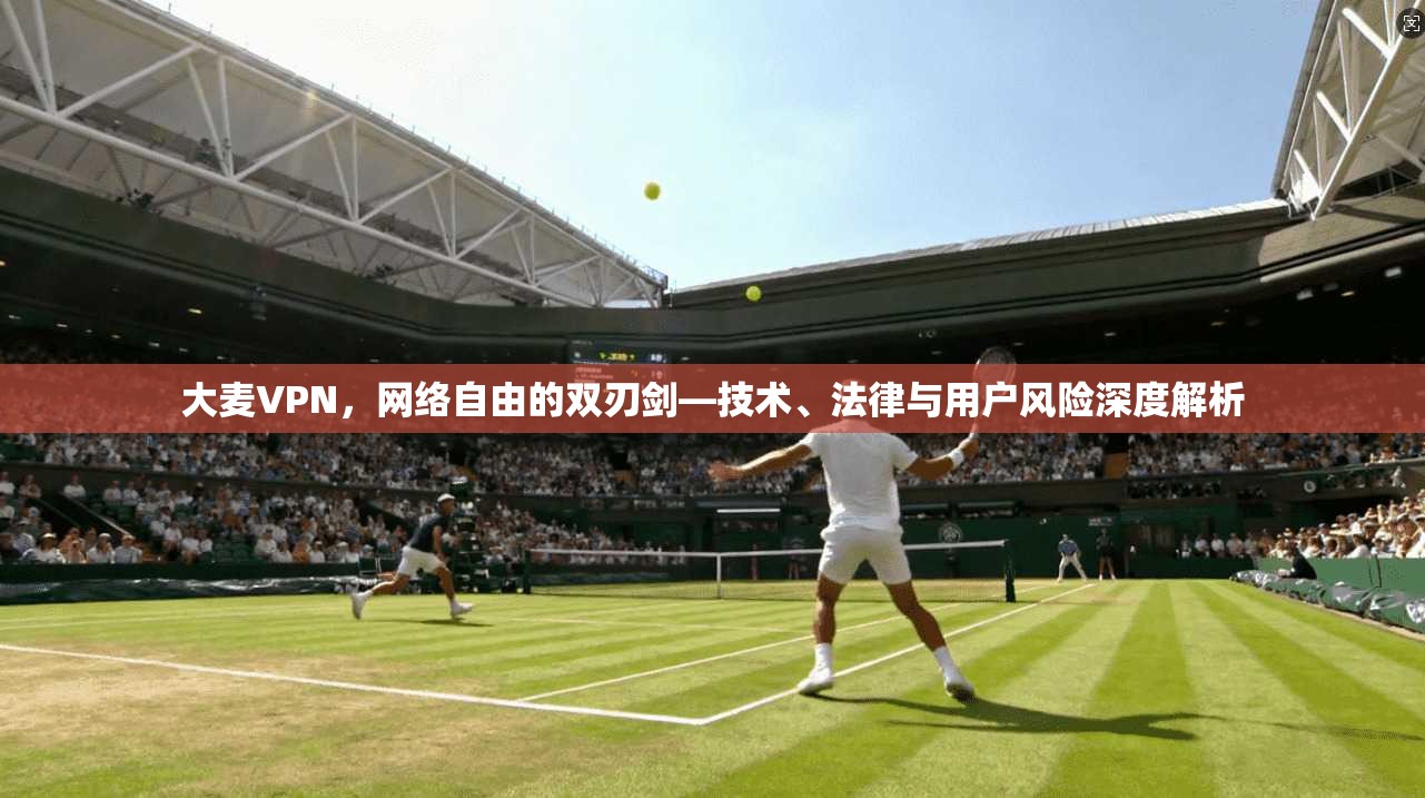 大麦VPN，网络自由的双刃剑—技术、法律与用户风险深度解析