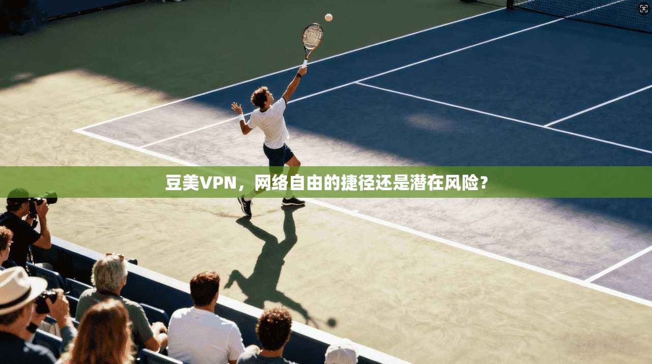 豆美VPN，网络自由的捷径还是潜在风险？