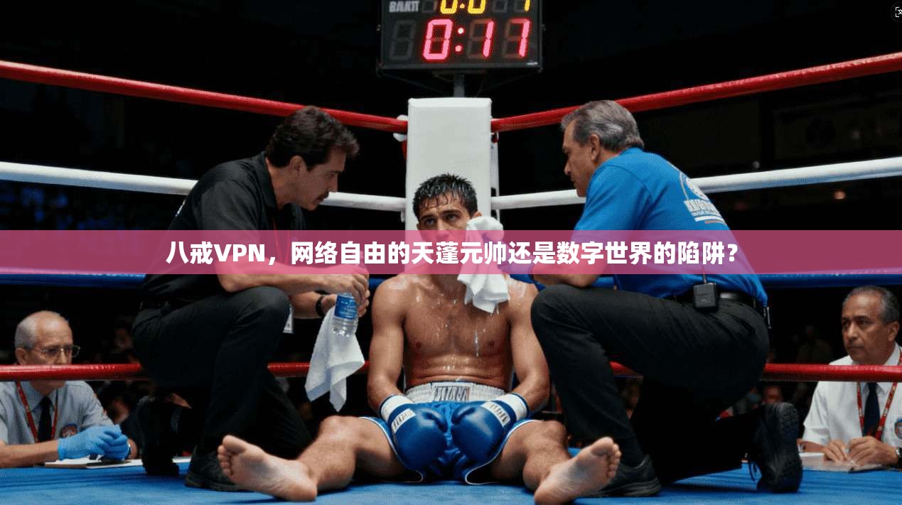 八戒VPN，网络自由的天蓬元帅还是数字世界的陷阱？
