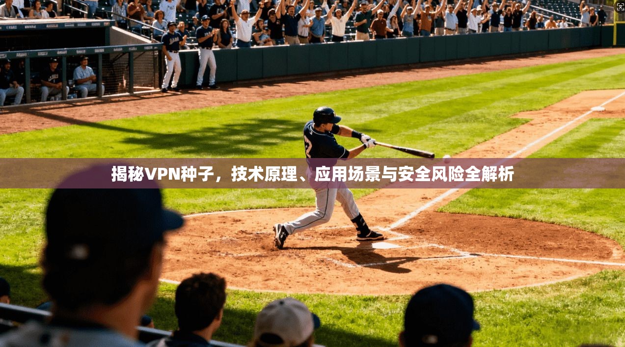 揭秘VPN种子,技术原理、应用场景与安全风险全解析