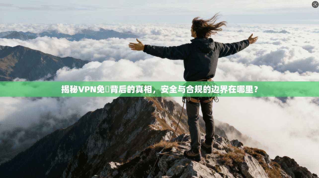 揭秘VPN免賛背后的真相，安全与合规的边界在哪里？
