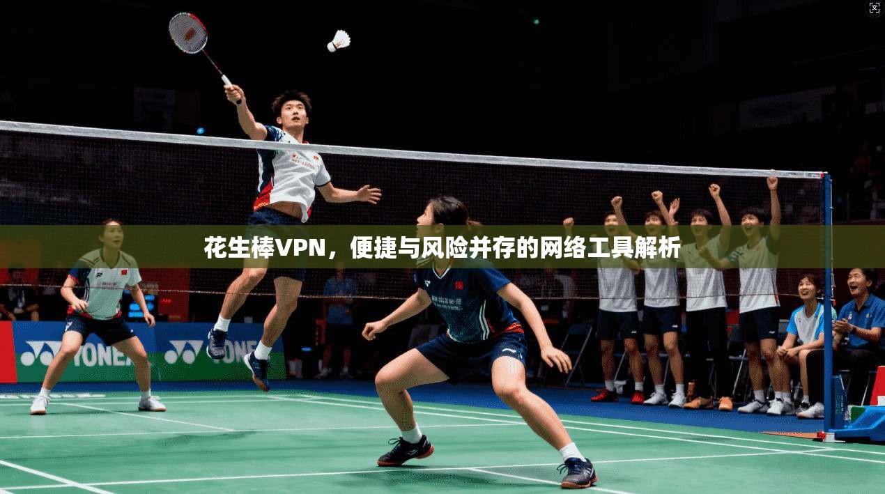 花生棒VPN，便捷与风险并存的网络工具解析