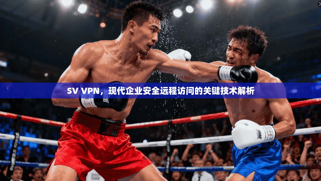 SV VPN，现代企业安全远程访问的关键技术解析