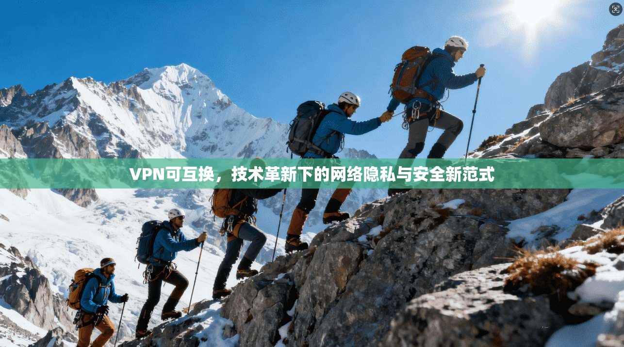VPN可互换，技术革新下的网络隐私与安全新范式