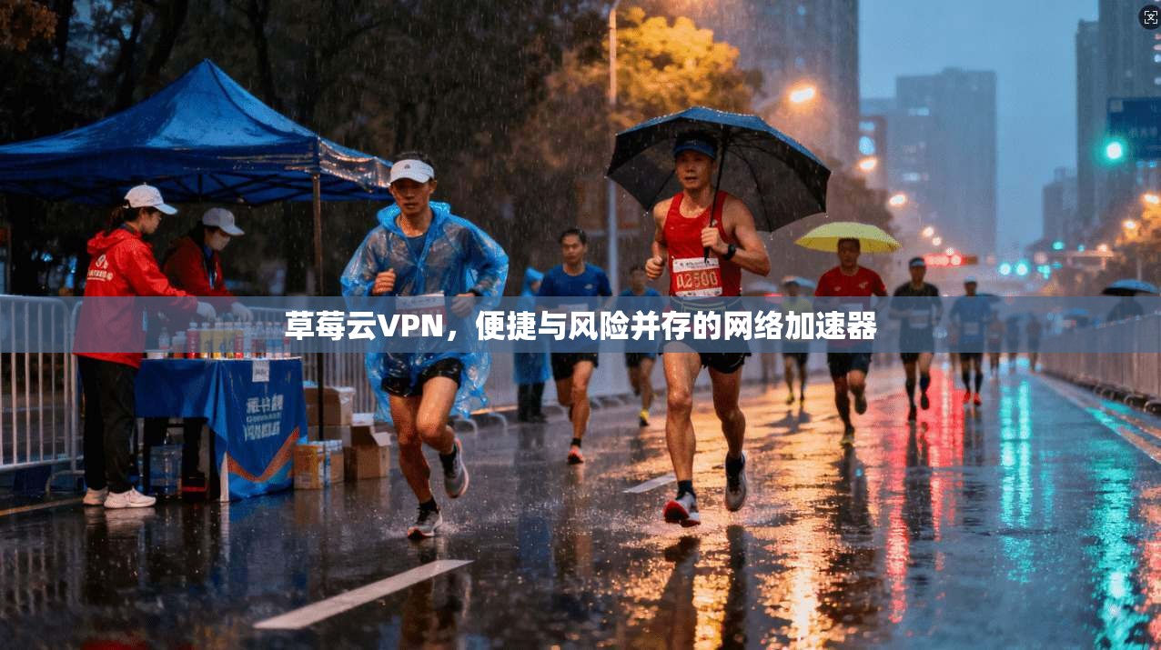 草莓云VPN,便捷与风险并存的网络加速器