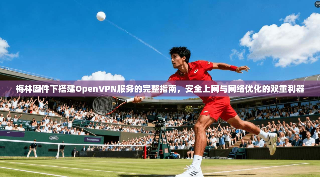 梅林固件下搭建OpenVPN服务的完整指南,安全上网与网络优化的双重利器