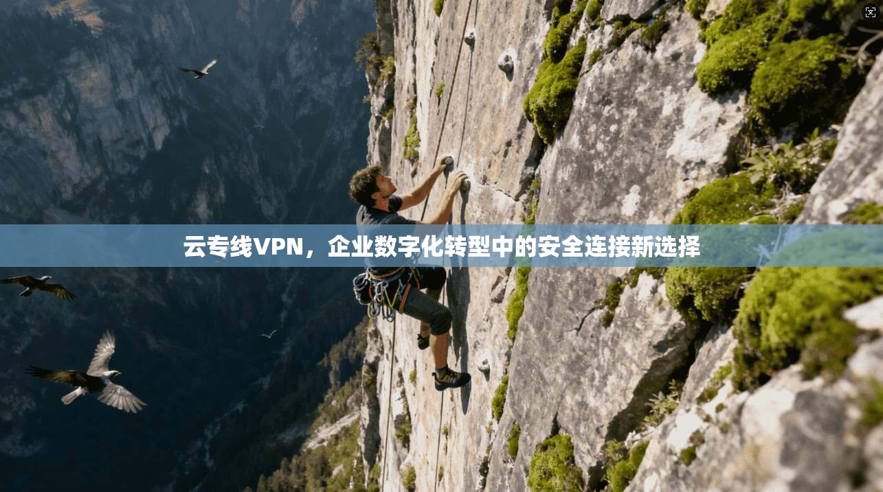 云专线VPN,企业数字化转型中的安全连接新选择