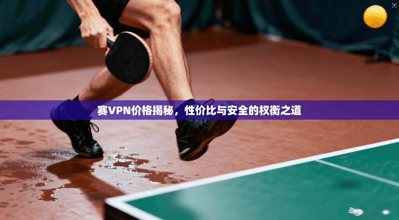 赛VPN价格揭秘，性价比与安全的权衡之道