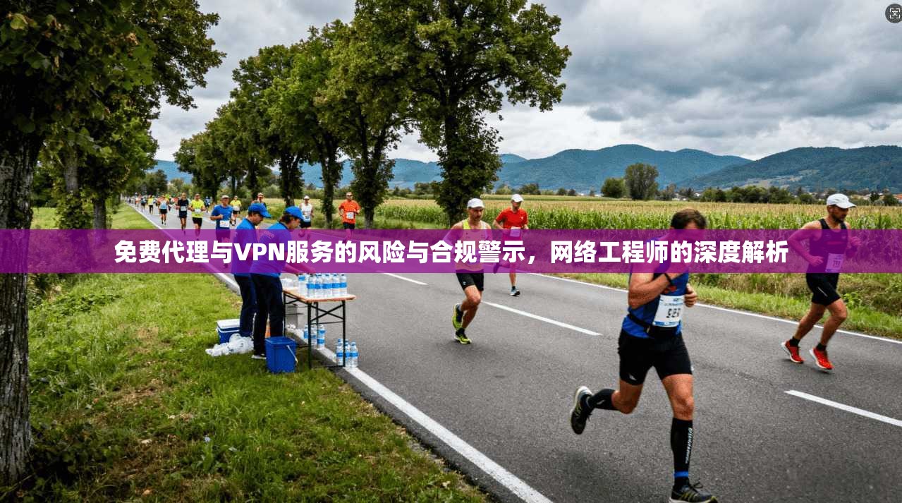 免费代理与VPN服务的风险与合规警示，网络工程师的深度解析