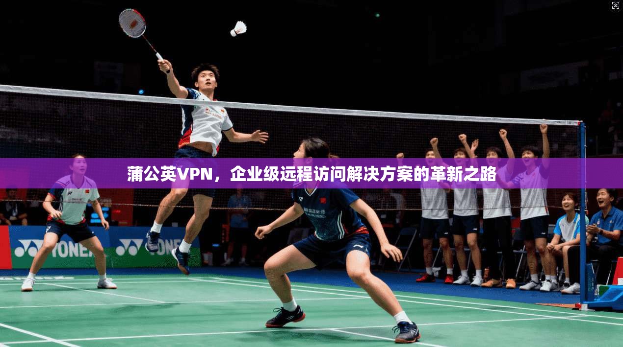 蒲公英VPN，企业级远程访问解决方案的革新之路