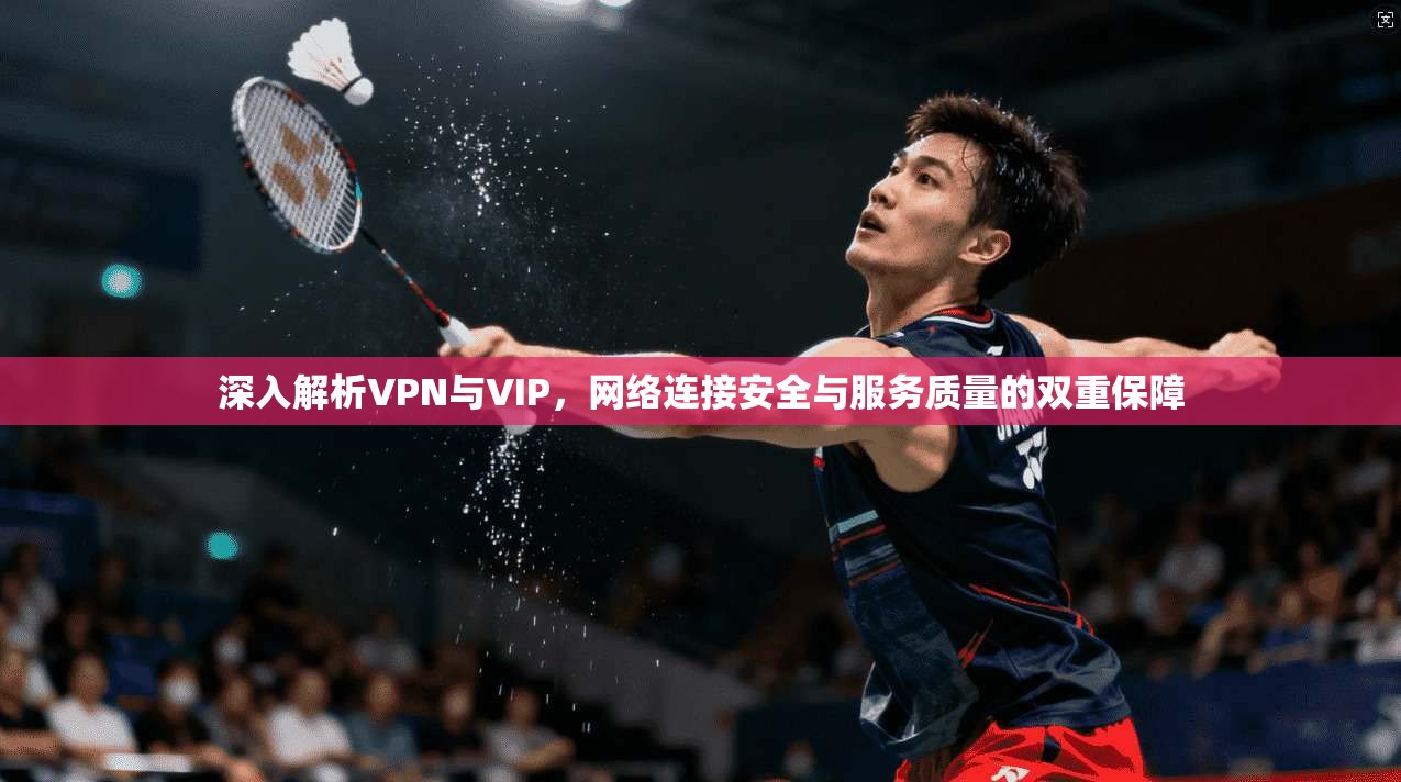 深入解析VPN与VIP，网络连接安全与服务质量的双重保障