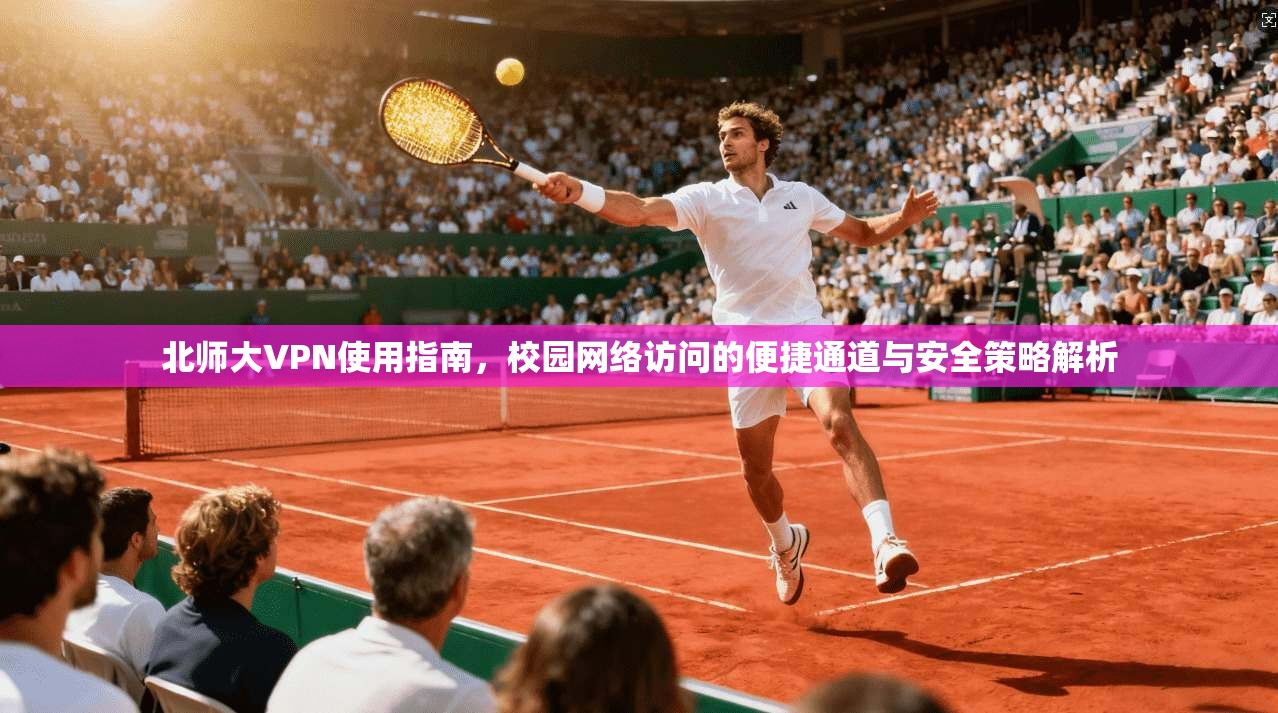 北师大VPN使用指南，校园网络访问的便捷通道与安全策略解析