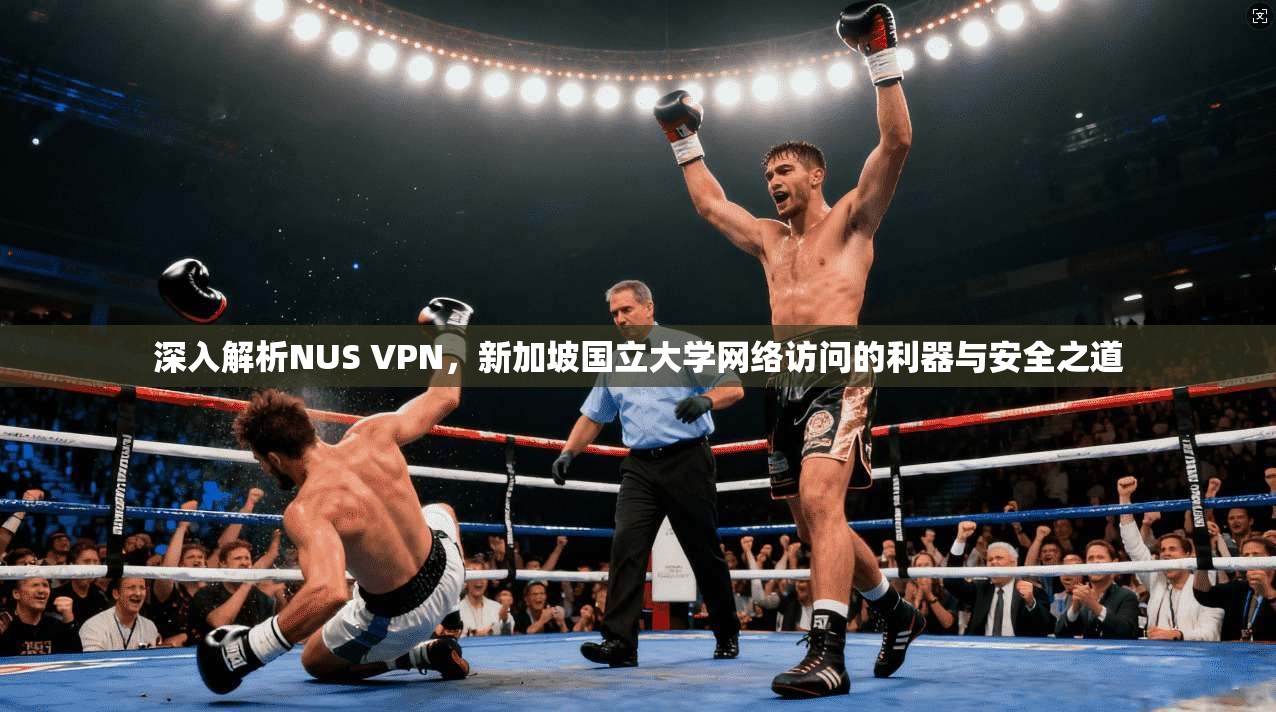 深入解析NUS VPN，新加坡国立大学网络访问的利器与安全之道
