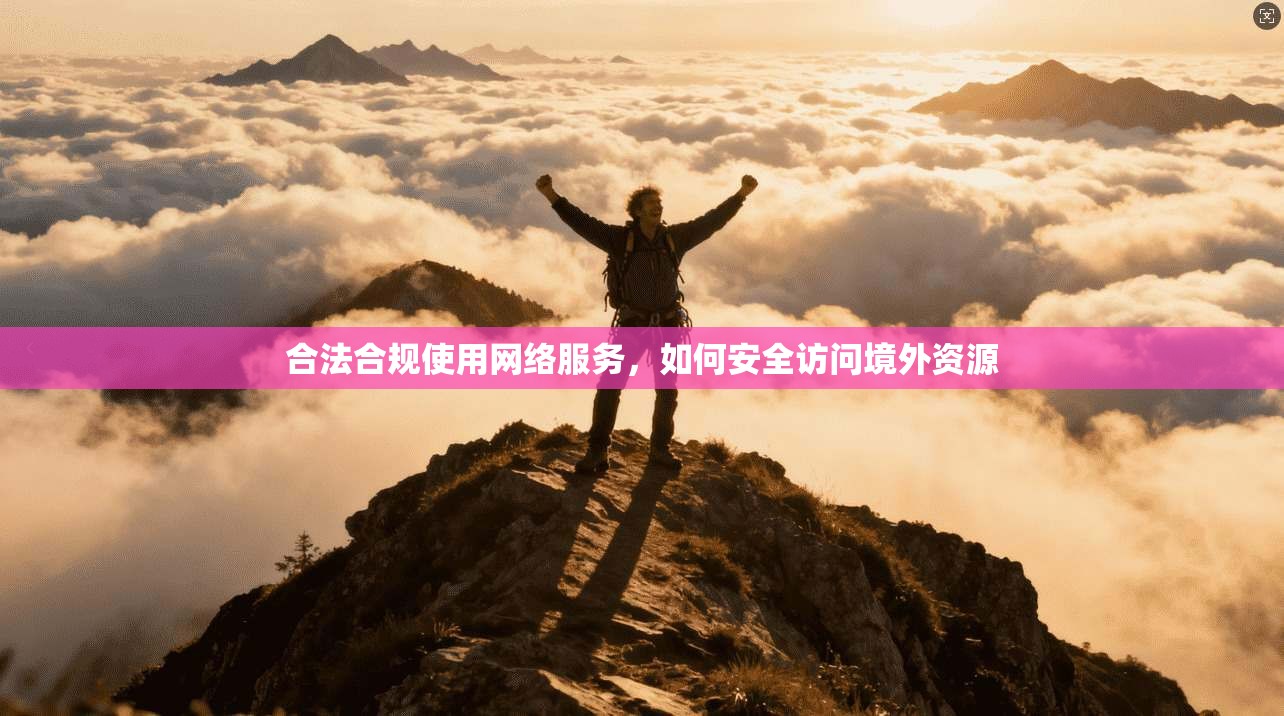 合法合规使用网络服务,如何安全访问境外资源