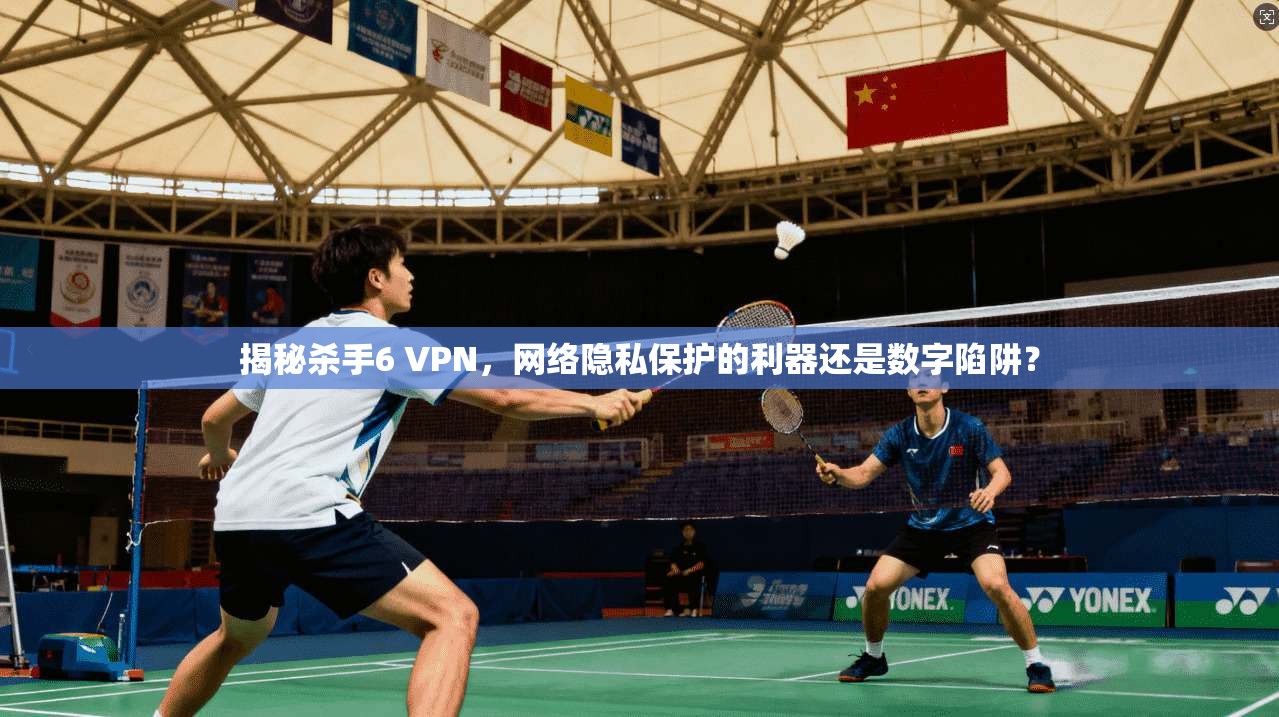 揭秘杀手6 VPN，网络隐私保护的利器还是数字陷阱？