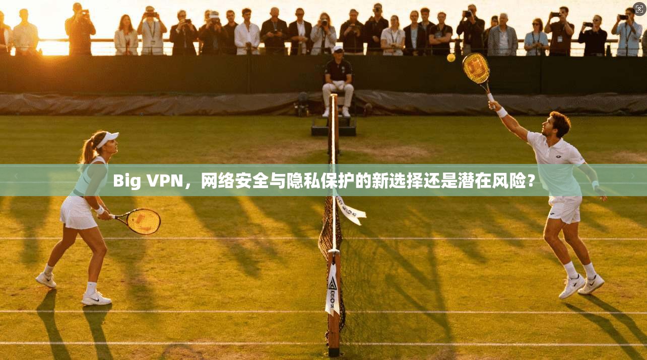 Big VPN，网络安全与隐私保护的新选择还是潜在风险？