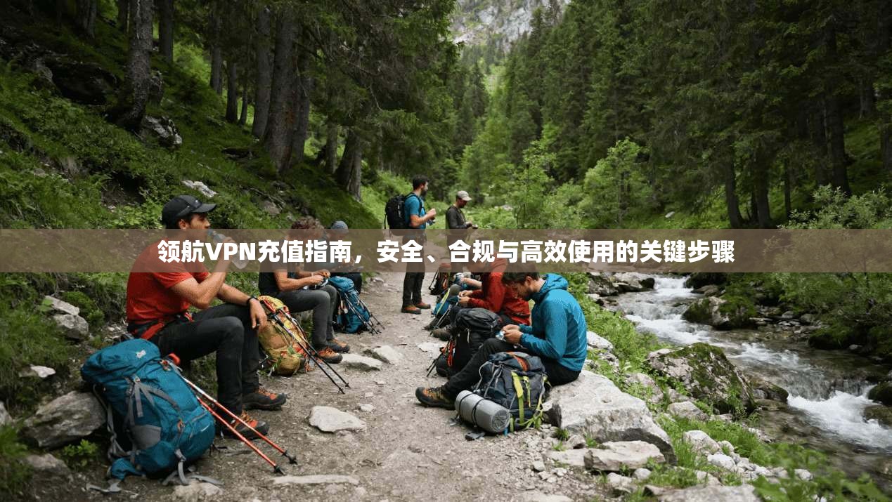 领航VPN充值指南，安全、合规与高效使用的关键步骤
