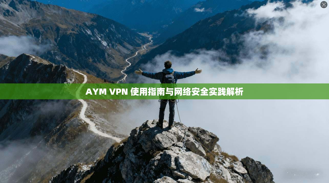 AYM VPN 使用指南与网络安全实践解析
