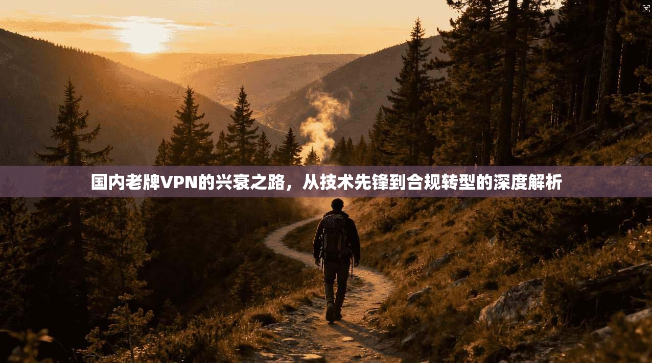 国内老牌VPN的兴衰之路，从技术先锋到合规转型的深度解析