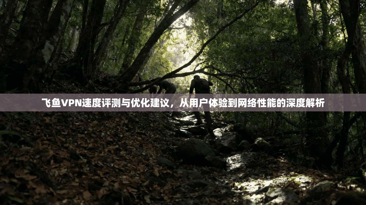 飞鱼VPN速度评测与优化建议，从用户体验到网络性能的深度解析